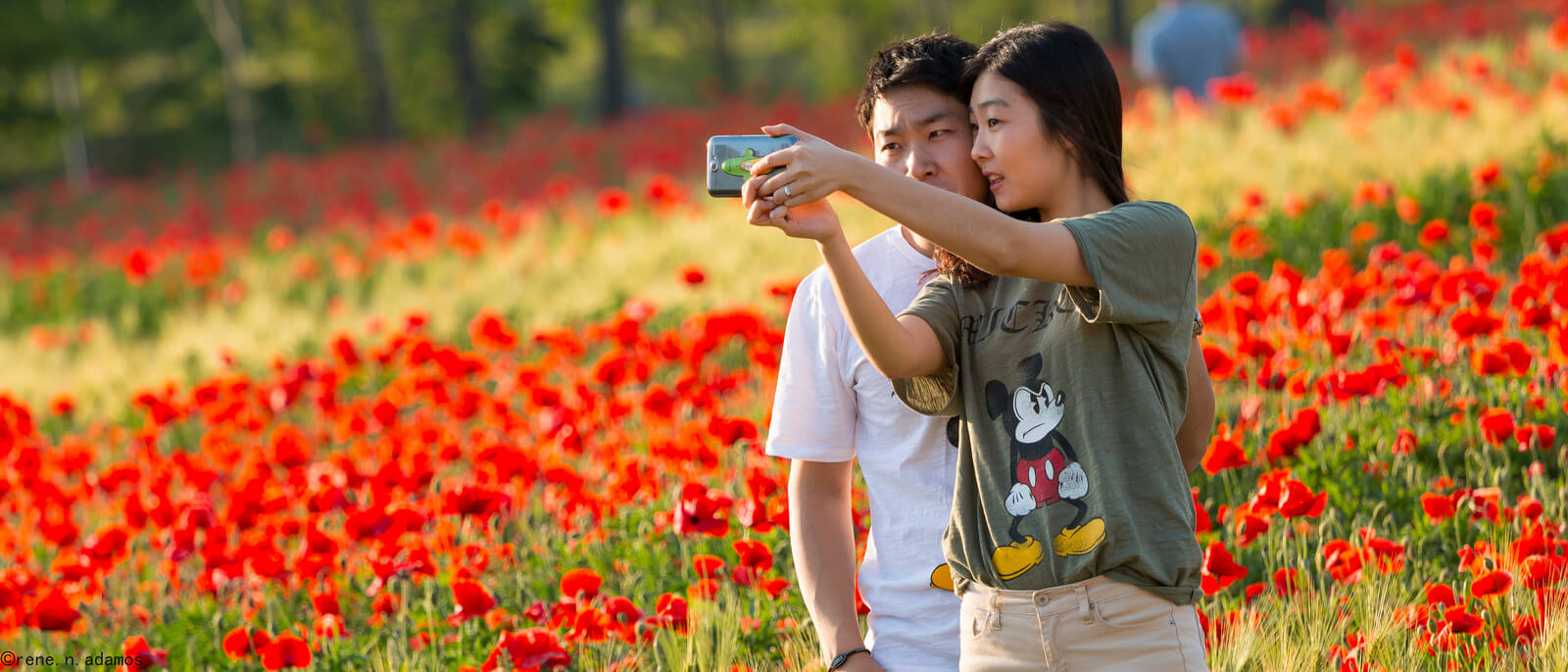 Sell museum tickets with museuly!