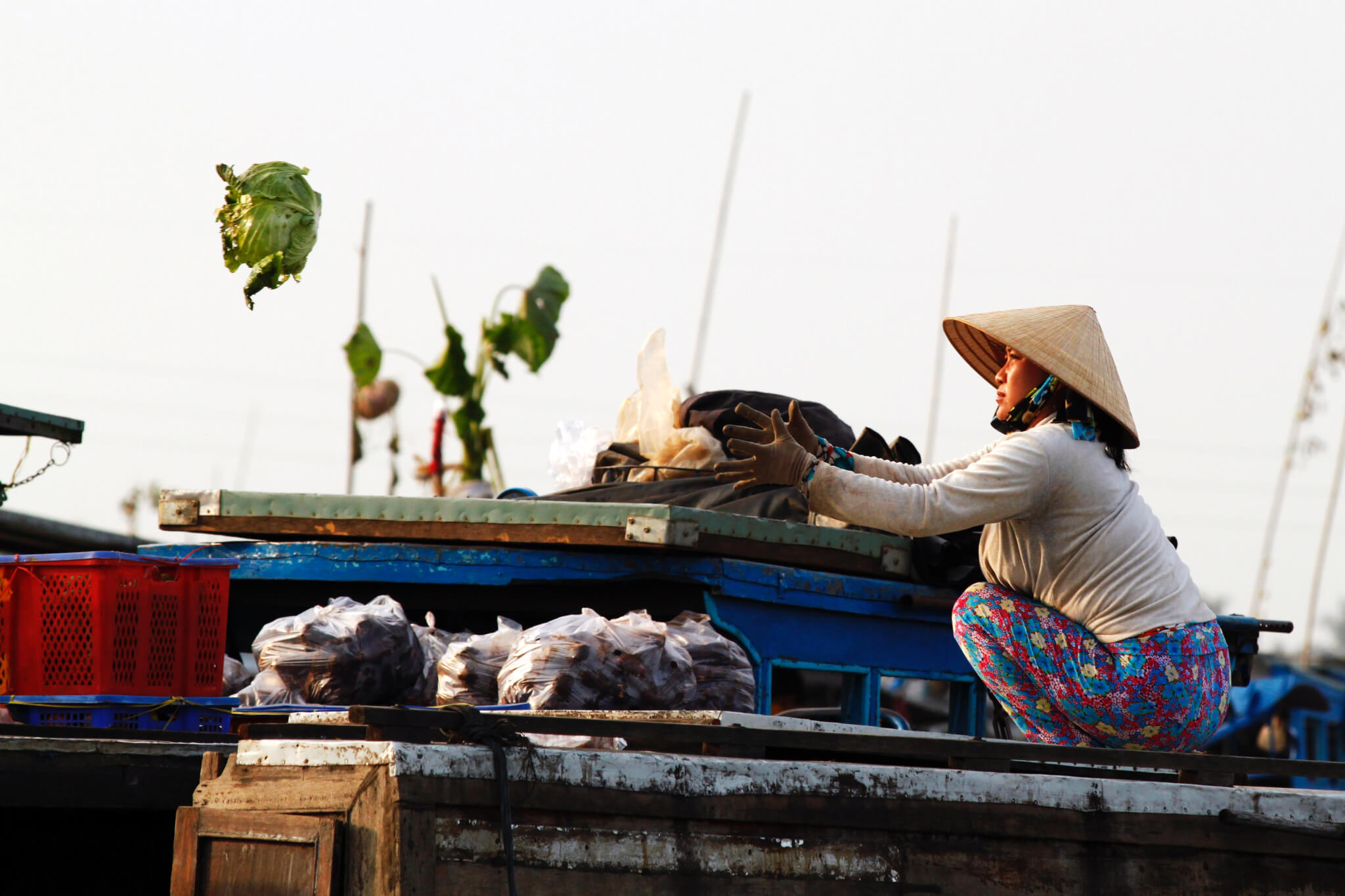 Mekong Delta