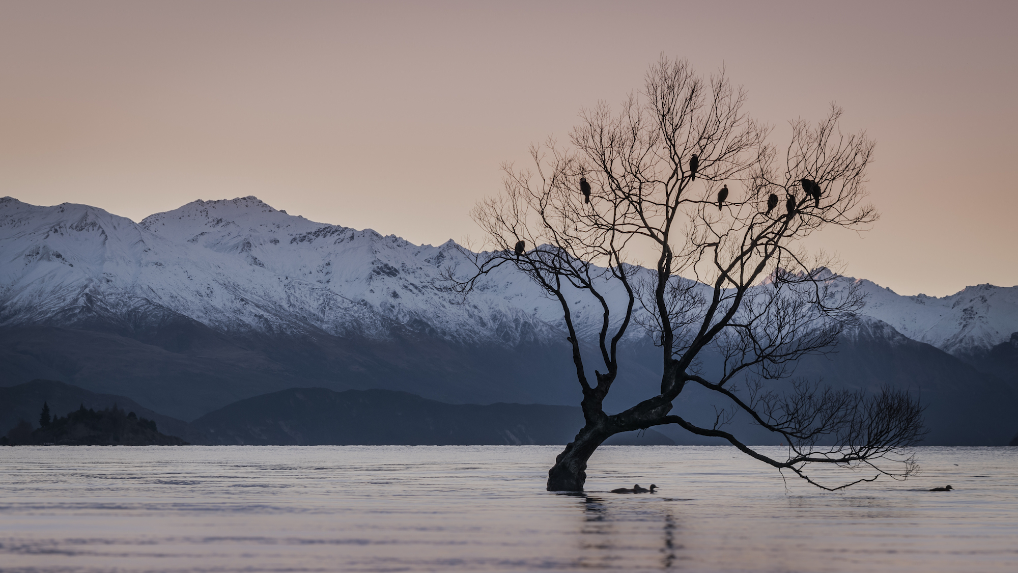 New Zealand attractions