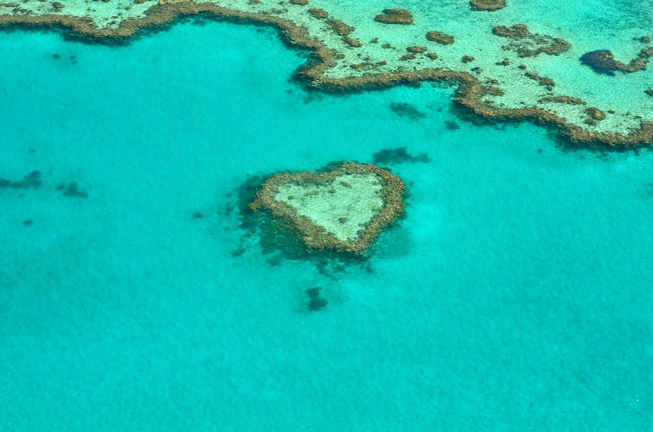 Barrier Reef