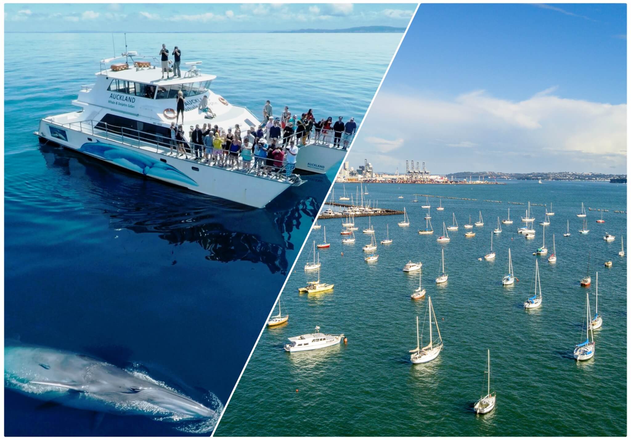 Auckland, New Zealand