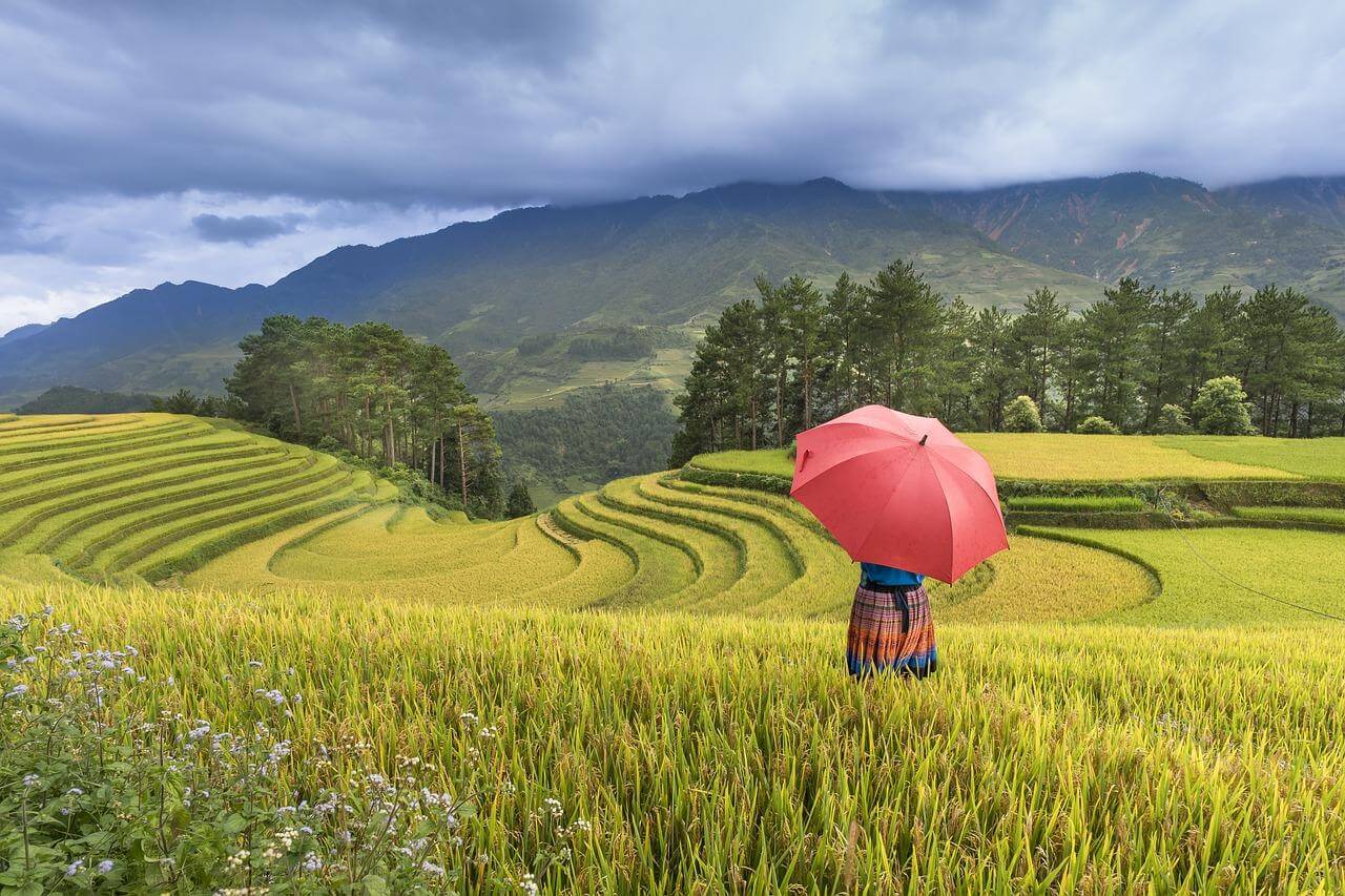 Vietnam things to do