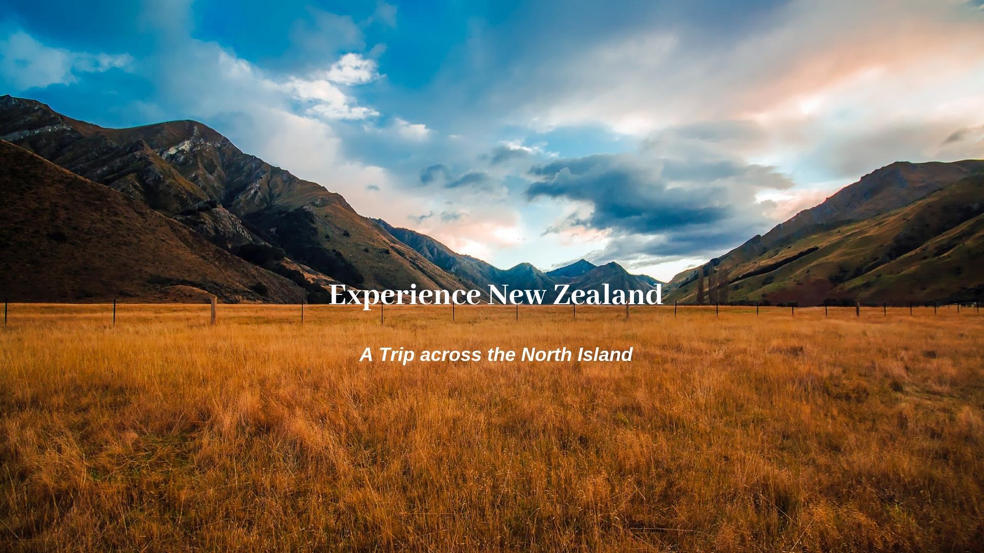 Experience New Zealand