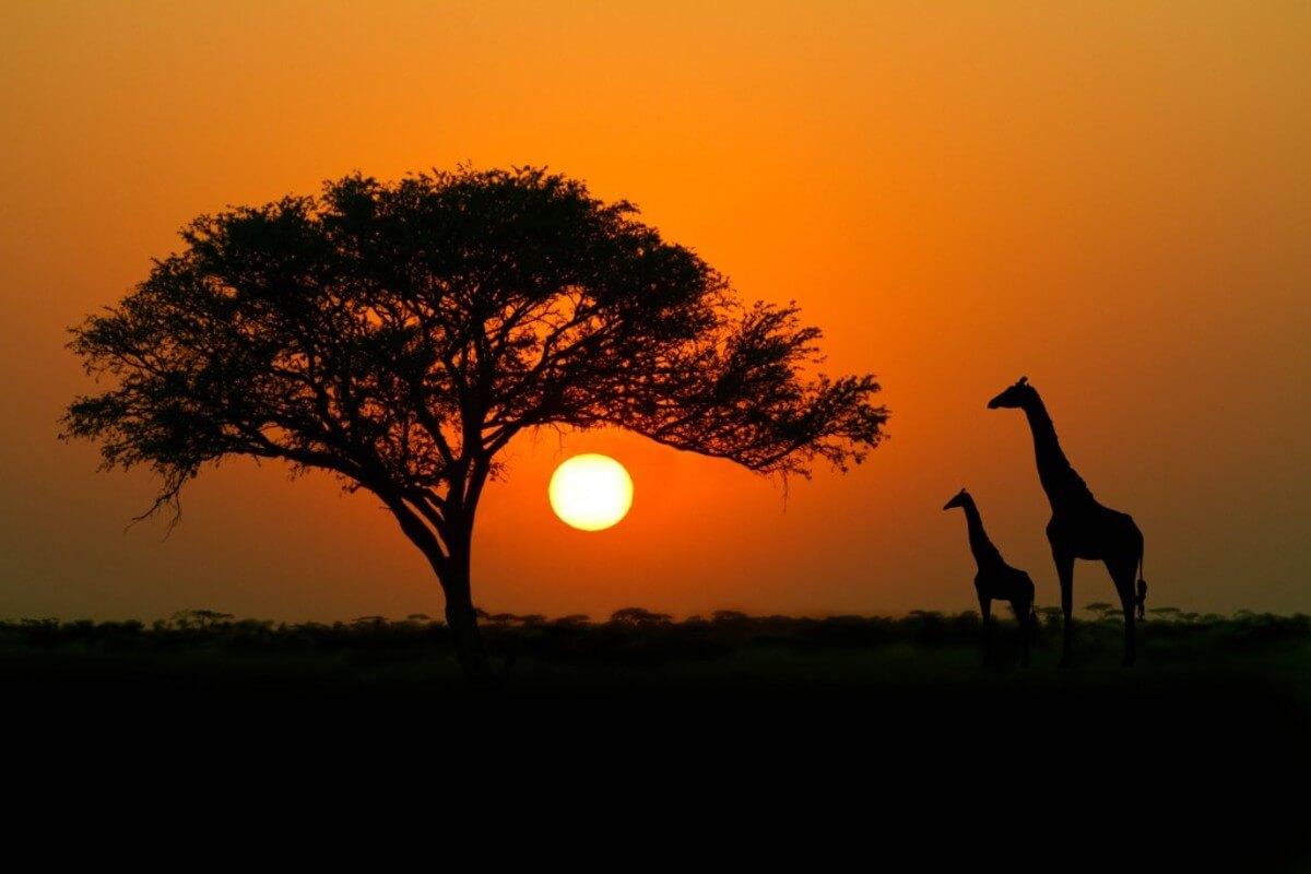 africa