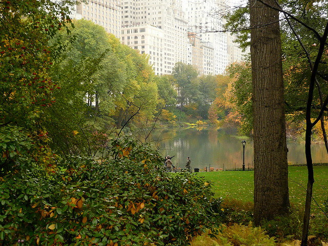 Central Park