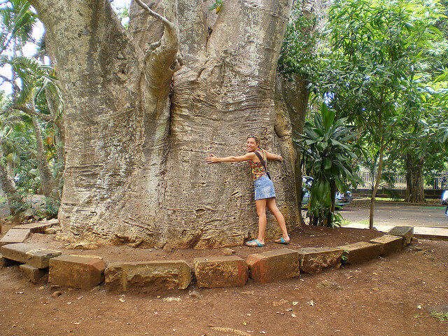 Botanic Gardens in Mauritius