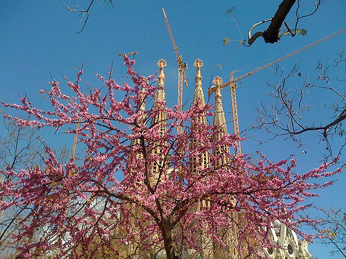 gaudi  spring in barcelona