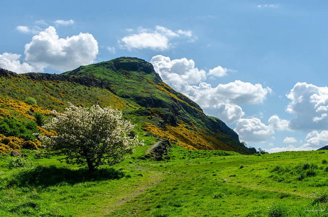 Arthur's Seat