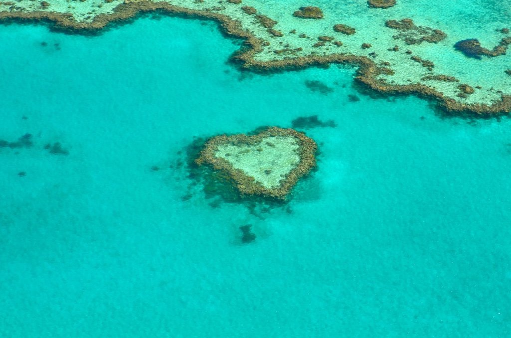 Barrier Reef