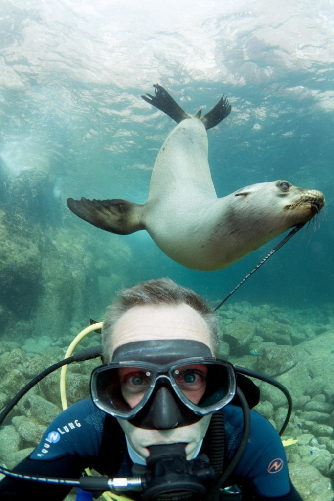Scuba diving destinations