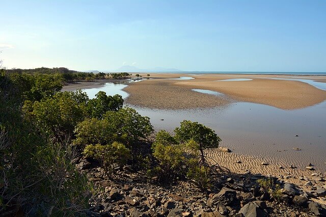 Cape Tribulation