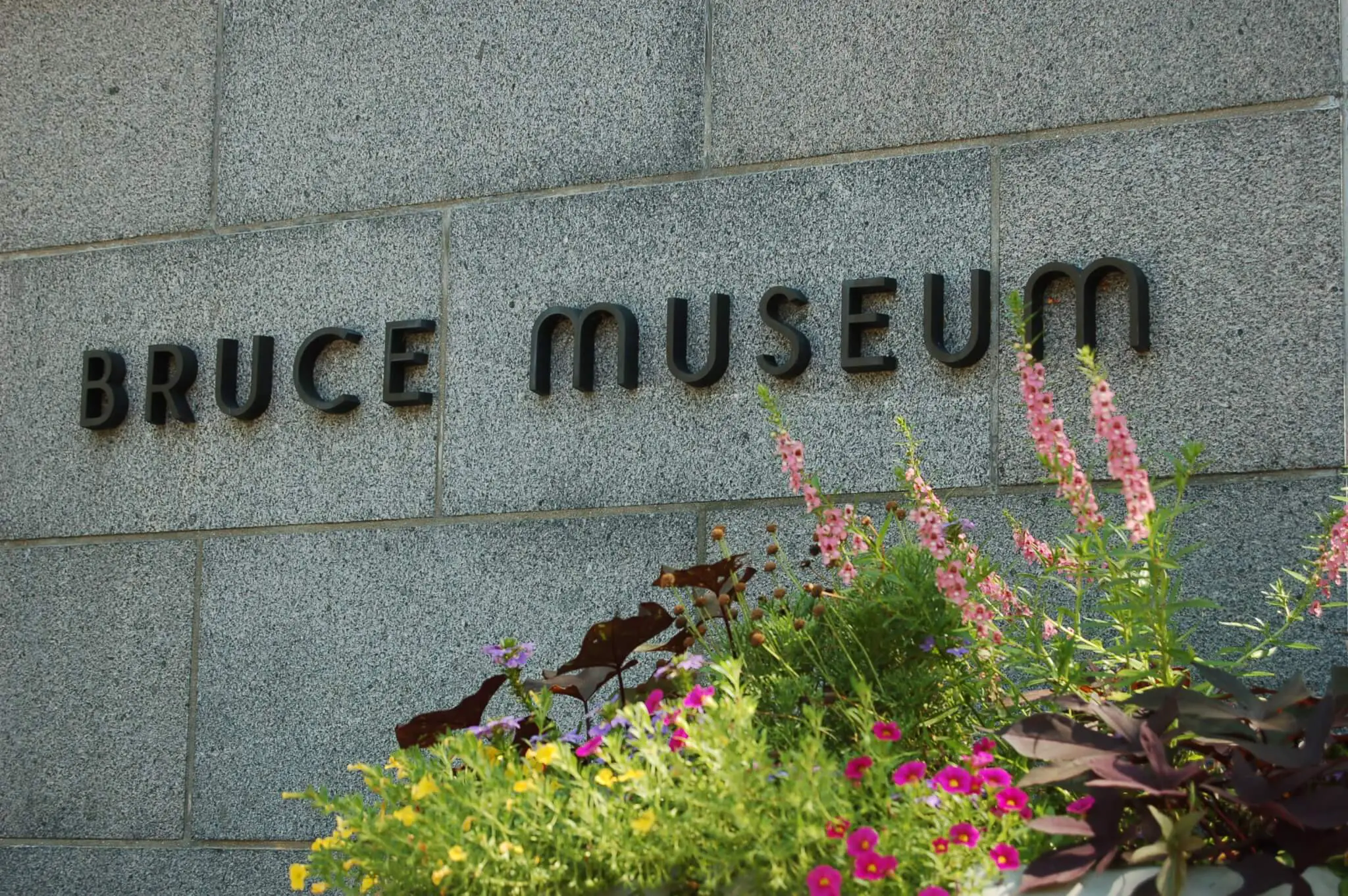 The Bruce Museum - Get Tickets, Hours, Free Days - museuly